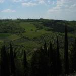 Toscana 2008 - Dintorni di Castiglione d'Orcia